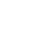 Real-time Traffic Information